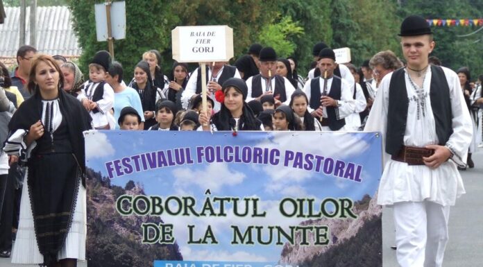 Repere autumnale – La mijloc de răpciune – COBOARĂ OILE DIN MUNȚII GORJULUI