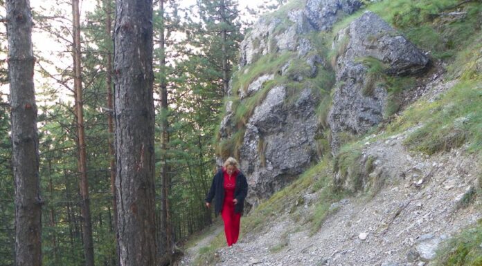 Gorjul de sub munte – HOINAR PRIN LUMEA CARSTULUI GORJEAN