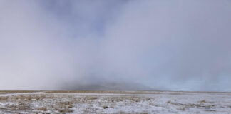 VIDEO: A nins pe Transalpina!