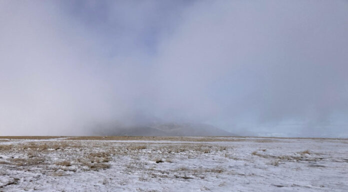 VIDEO: A nins pe Transalpina!