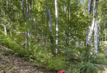 Trasee turistice din Godeanu, întreținute și refăcute de salvatorii montani din Gorj