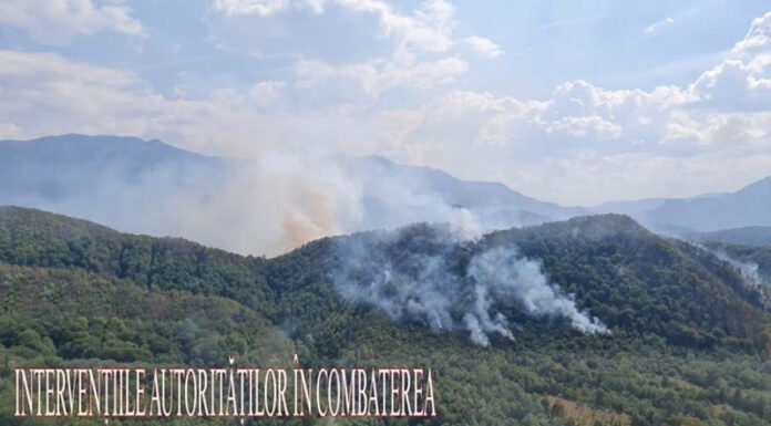 Zonele din Gorj și alte două județe din Oltenia, sub monitorizarea DSU