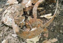 Președintele Salvamont România, pe urmele strămoșului său