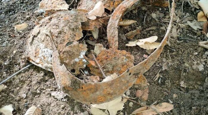 Președintele Salvamont România, pe urmele strămoșului său