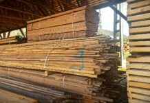 Romsilva sprijină cu o sută de metri cubi de cherestea reconstrucția imobilelor afectate de inundații