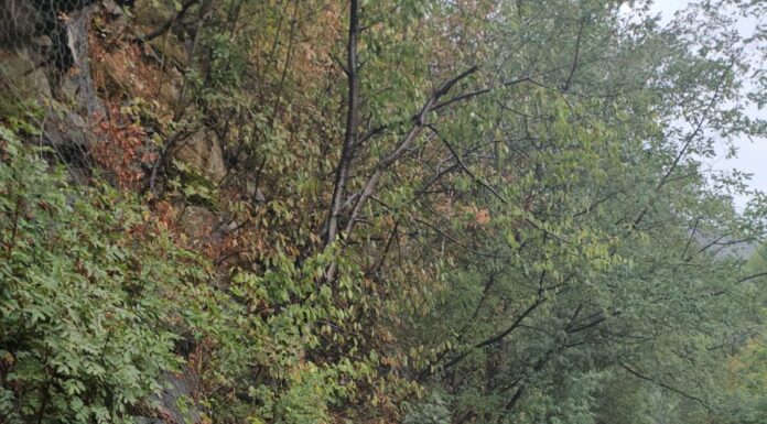 Un bărbat a ajuns la spital în urma accidentului de pe Defileul Jiului