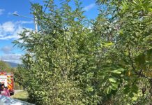 Accident la Peștișani. Un tânăr de 18 ani este resuscitat