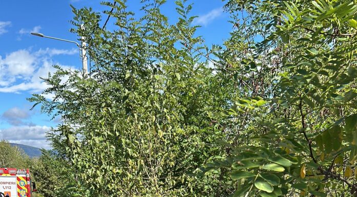 Accident la Peștișani. Un tânăr de 18 ani este resuscitat