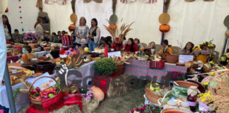 Vreme bună la Festivalul Sarmalelor și Piftiilor, în plin cod portocaliu!