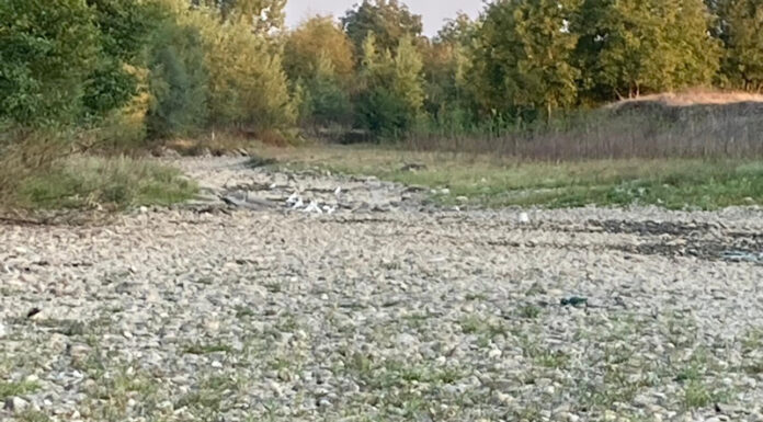 Au dispărut râurile, în lipsa ploilor!