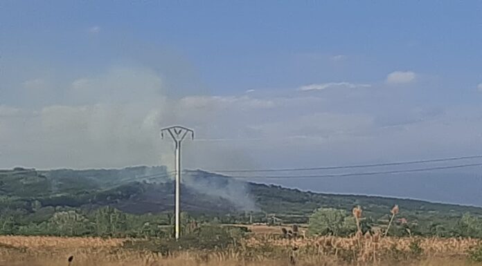 Încă un incendiu de vegetație