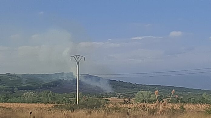 Încă un incendiu de vegetație