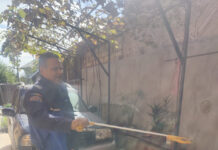 FOTO, Izvarna: Viperă în gospodărie. A fost capturată și eliberată în mediul natural