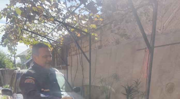 FOTO, Izvarna: Viperă în gospodărie. A fost capturată și eliberată în mediul natural