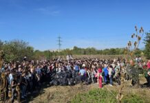 FOTO, Gorj: Ecologizare cu 11.600 de voluntari: copii, oficiali ai județului, ONG-uri și antreprenori