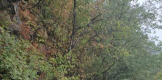 Apel de donare de sânge pentru bărbatul rănit în accidentul de pe Defileul Jiului