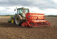 Agricultura pe înțelesul tuturor – Calendarul lucrărilor agricole în luna septembrie