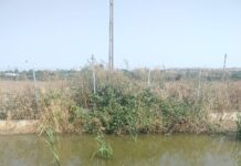 Firmă din Cărbunești, amendată de Apele Române cu 35.000 de lei