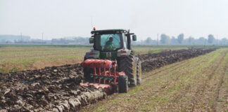 Agricultura pe înțelesul tuturor – Înființarea culturilor de toamnă