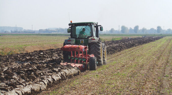 Agricultura pe înțelesul tuturor – Înființarea culturilor de toamnă