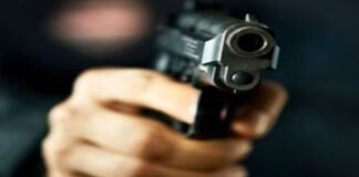 Câte gorjeni dețin arme letale