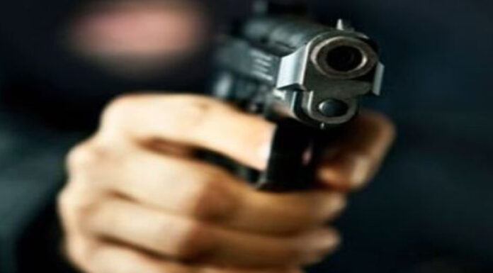 Câte gorjeni dețin arme letale