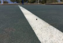 Lucrări de reparații pe o stradă din Târgu Jiu