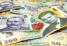 49,3 milioane euro pentru microîntreprinderile din Gorj