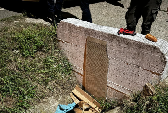 Bâlteni: Cățel lovit de mașină, salvat de Protecția Animalelor Gorj