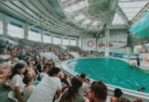 Tabere la mare și la munte pentru copiii aflați în grija DGASPC Gorj