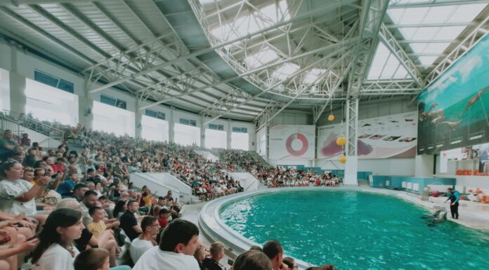 Tabere la mare și la munte pentru copiii aflați în grija DGASPC Gorj