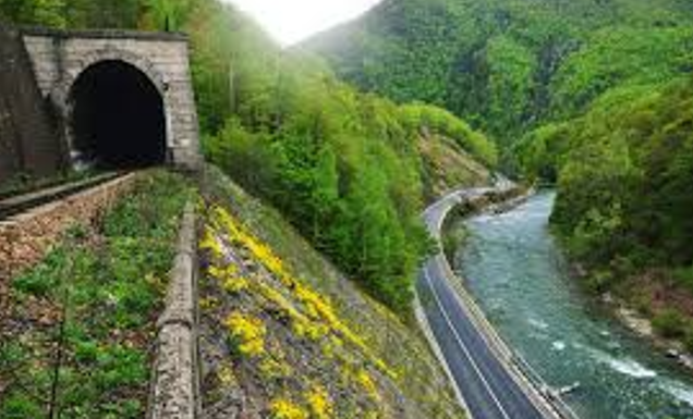 Oficialii Gorjului, la acțiunea de ecologizare din Defileul Jiului