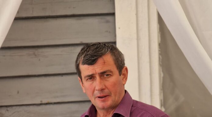 Programul Atelierului de Poezie ,,Serile la Brădiceni”