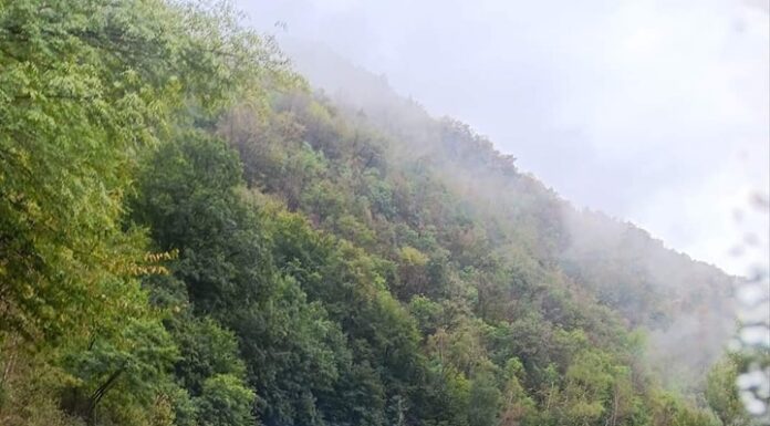 FOTO| Defileul Jiului, blocat din cauza unui accident