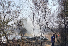 Lupta cu incendiile continuă în Gorj! Sute de hectare făcute scrum!