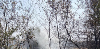 Lupta cu incendiile continuă în Gorj! Sute de hectare făcute scrum!