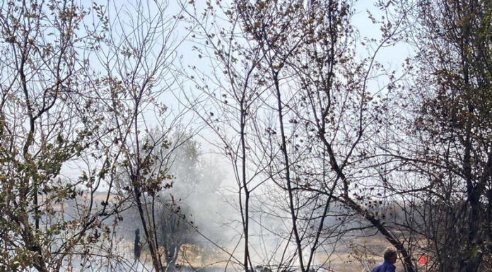 Lupta cu incendiile continuă în Gorj! Sute de hectare făcute scrum!