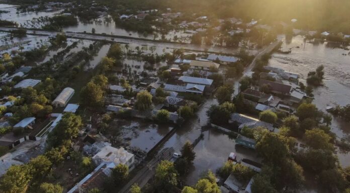 ANSVSA inventariază animalele moarte în inundațiile din estul țării
