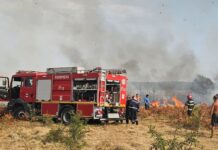 FOTO, Runcu: Jandarmii au venit în sprijinul pompierilor pentru stingerea incendiului din satul Bâlta