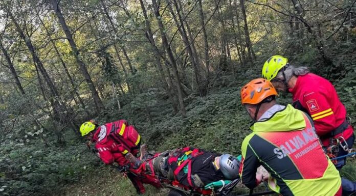 Video: S-a oprit cu parapanta în copaci!