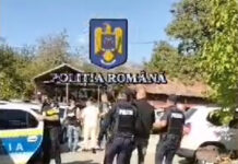 Trei bărbați, reținuți în cazul furtului banilor din mașina implicată în accidentul mortal de la Poienari