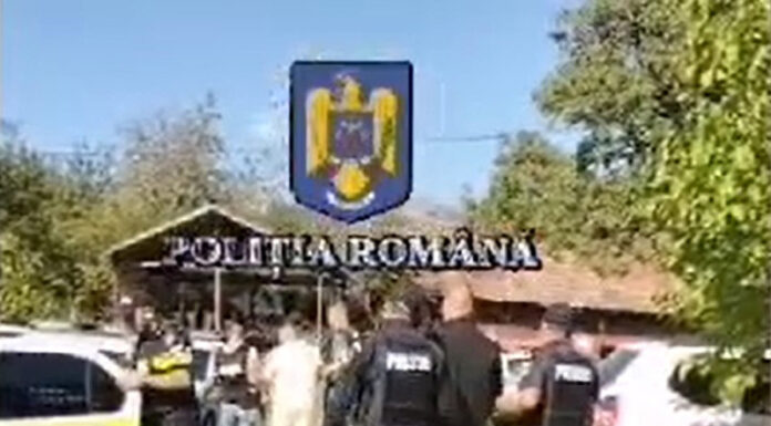 Trei bărbați, reținuți în cazul furtului banilor din mașina implicată în accidentul mortal de la Poienari