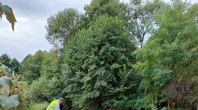 FOTO, Tismana: SGA Gorj a strâns 70 de saci de gunoiae de pe malurile râului