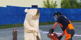 Noi sculpturi cu drujba la o pensiune din apropiere de Polovragi!