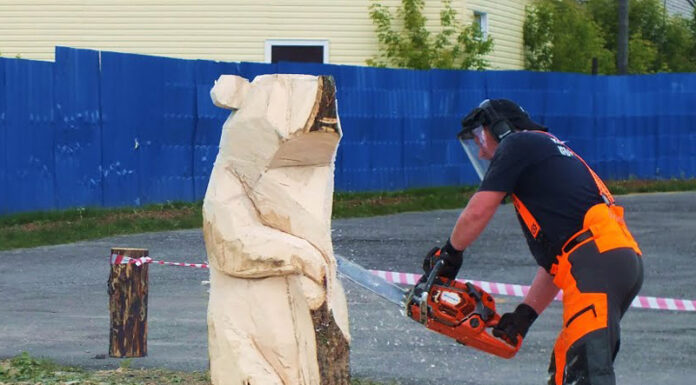 Noi sculpturi cu drujba la o pensiune din apropiere de Polovragi!