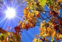 Temperaturile încep să se apropie de cele normale pentru toamnă. Prognoză