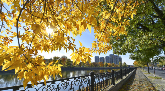 Meteorologii anunță o toamnă ”ca pe vremuri”