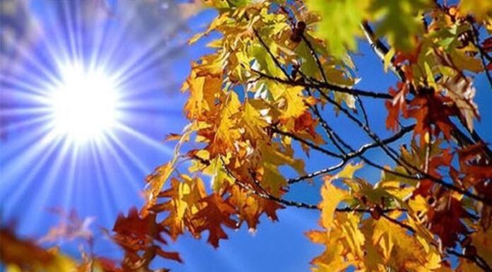 Temperaturile încep să se apropie de cele normale pentru toamnă. Prognoză