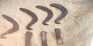 Topor tip celt, vechi de 3500-4000 de ani, descoperit în Gorj