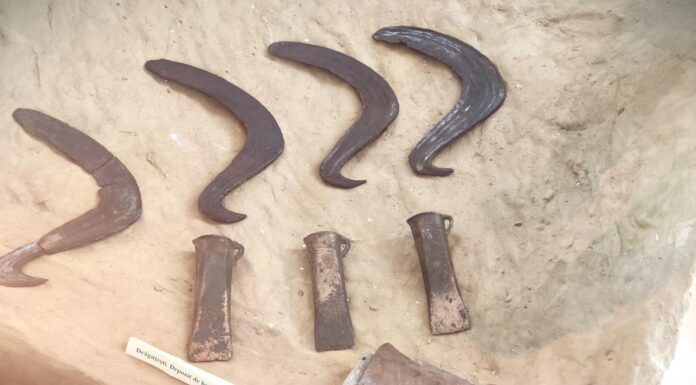 Topor tip celt, vechi de 3500-4000 de ani, descoperit în Gorj